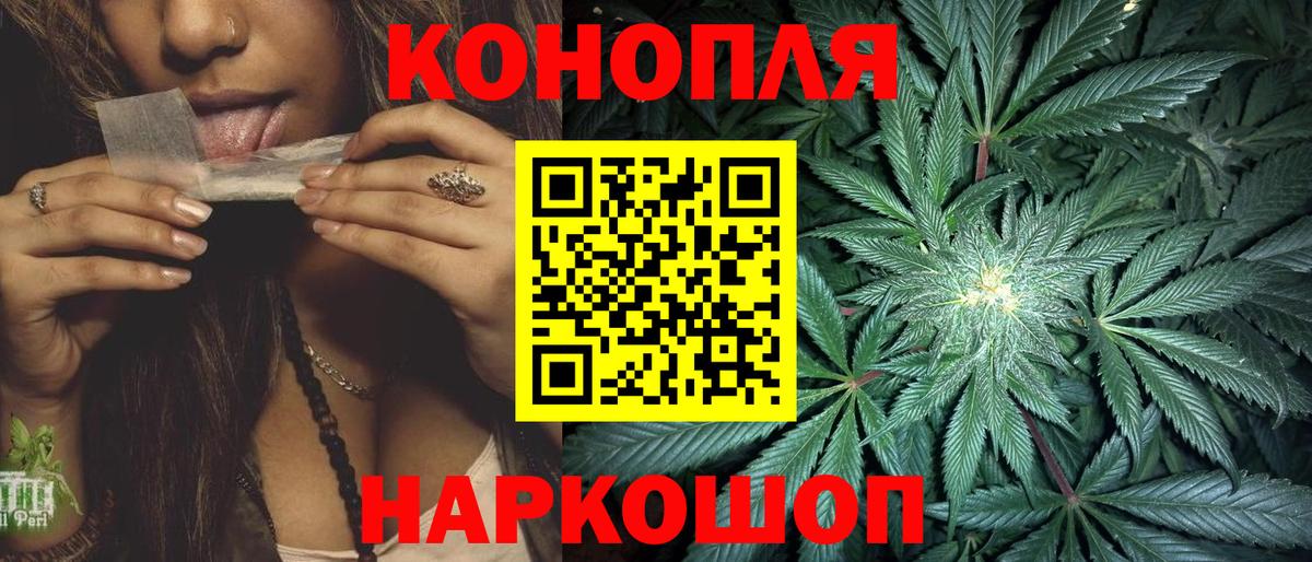 Конопля семена Новошахтинск